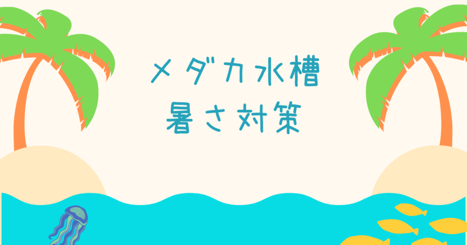 夏の暑さ対策をしよう メダカ水槽の水温上昇対策方法をご紹介 Ogawaya Press