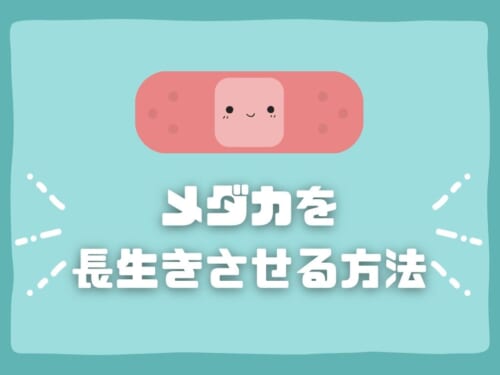 メダカがすぐに死んでしまう原因と対策 長生きさせる方法 Ogawaya Press