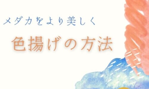 メダカがすぐに死んでしまう原因と対策 長生きさせる方法 Ogawaya Press