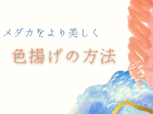 メダカをより美しく 色揚げの方法と仕組み Ogawaya Press